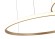 Подвесная светодиодная люстра Zortes Ringolight ZRS.33320.63F