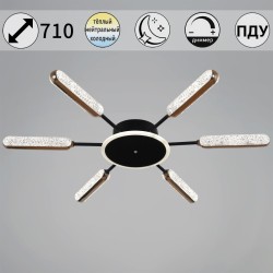 Потолочная люстра с пультом управления Reluce 08290-0.3-06 BK+GD