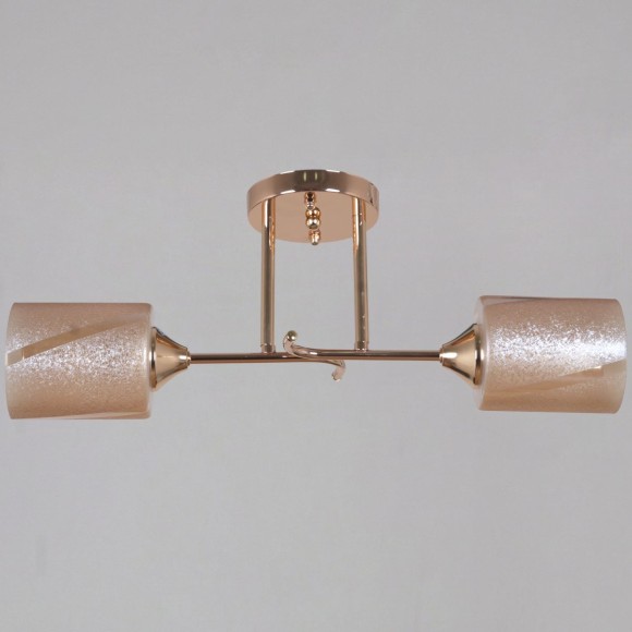 Потолочный светильник Reluce 51460-0.3-02 FG