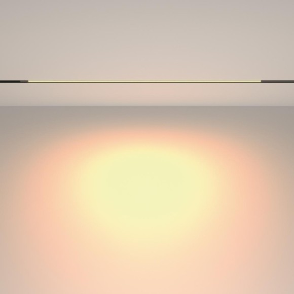 Трековый магнитный светильник Maytoni Technical Basis TR231-2-15W3K-B