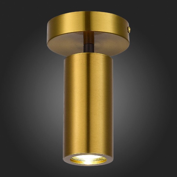 Потолочный светильник ST Luce Talia SL1215.402.01