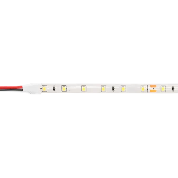 Светодиодная лента Wolta WLS2835-6W/6500/24S60-01
