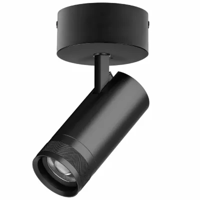 Накладной светильник 20-55G с адаптером Lightstar Canno Pro C4207SO