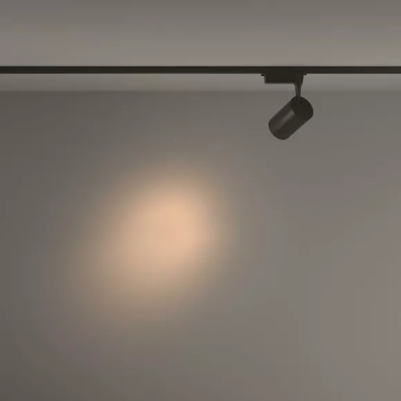 Трековый светильник Maytoni Technical Vuoro TR003-1-26W3K-S-B, 3000, Теплый белый Трековый светильник Maytoni Technical Vuoro TR003-1-26W3K-S-B, 3000, Теплый белый