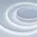 Светодиодная лента Arlight RT-A200-8mm 24V White6000-CX1 (16 W/m, IP20, 5m) 046938