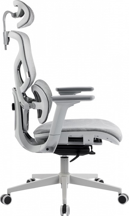 Кресло компьютерное Alfa EVP_570110