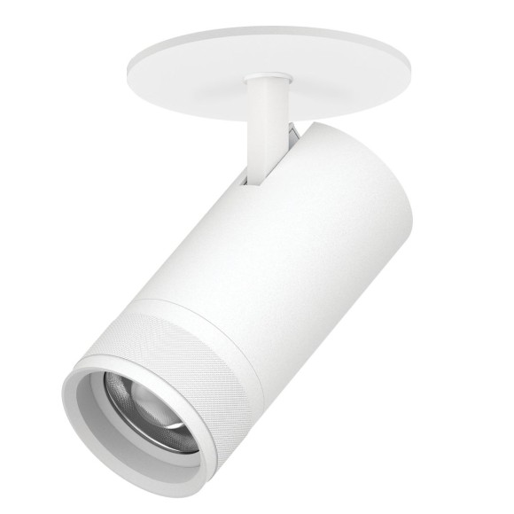 Встраиваемый светильник 20-55G с адаптером Lightstar Canno Pro C4306RS