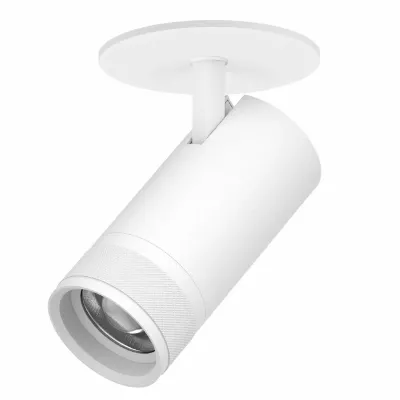 Встраиваемый светильник 20-55G с адаптером Lightstar Canno Pro C4306RS