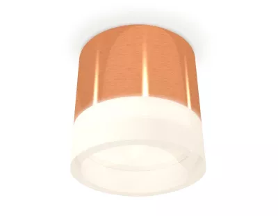 Потолочный светильник Ambrella Light Techno Spot XS8122010 (C8122, N8401)