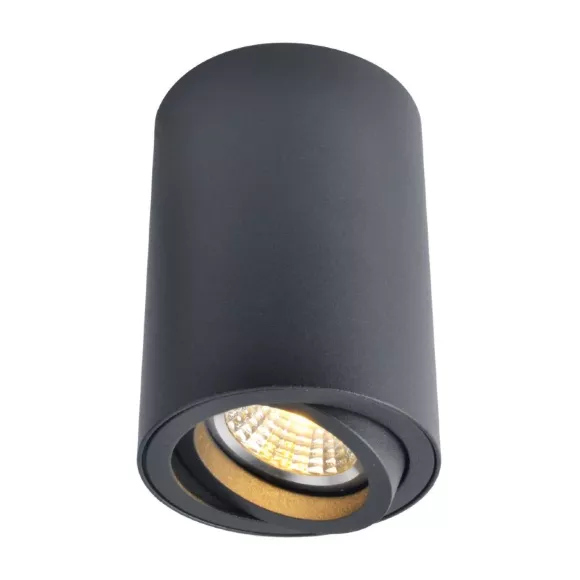 Потолочный светильник Arte Lamp A1560PL-1BK Потолочный светильник Arte Lamp A1560PL-1BK
