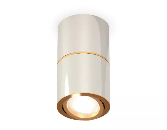 Потолочный светильник Ambrella Light Techno Spot XS7405060 (C7405, A2072, C7405, N7004) Потолочный светильник Ambrella Light Techno Spot XS7405060 (C7405, A2072, C7405, N7004)