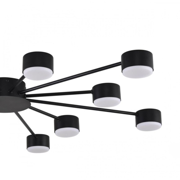 Потолочная люстра Lumion Comfi Torina 8344/12C