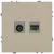 Розетка Эра Galaxy 15-3110-04 комбинированная RJ45+TV IP20 шампань Б0070782