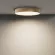 Потолочный светодиодный светильник Maytoni Technical Ceiling Zon C032CL-45W4K-RD-MG, 4000, Нейтральный белый