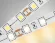 Светодиодная лента Ambrella Light Illumination 24В 5050 14,4Вт/м 3000K 5м IP20 GS4001