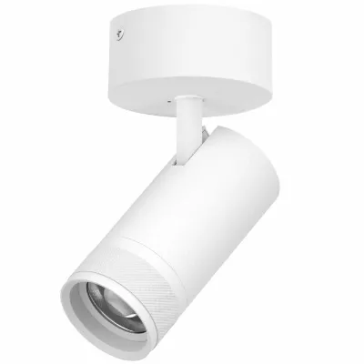 Накладной светильник 20-55G с адаптером Lightstar Canno Pro C4306SO
