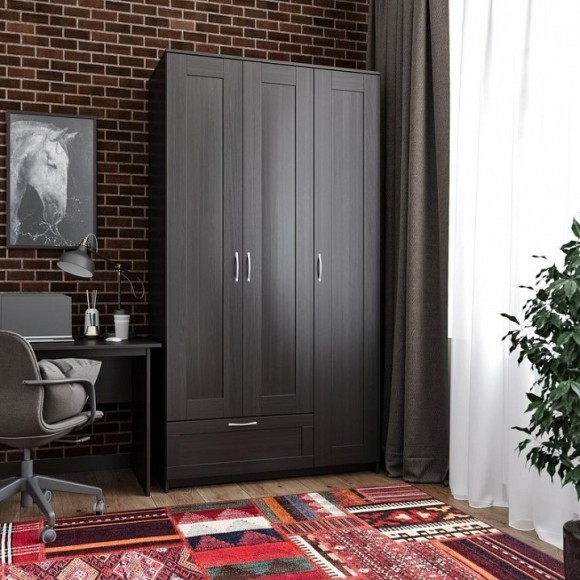 Шкаф платяной Сириус SHST_2-02-01-480-5