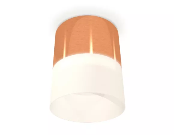 Потолочный светильник Ambrella Light Techno Spot XS8122011 (C8122, N8402) Потолочный светильник Ambrella Light Techno Spot XS8122011 (C8122, N8402)