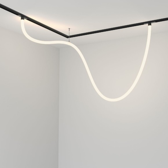 Трековый магнитный светильник Maytoni Tau TR101-2-50W4K-B