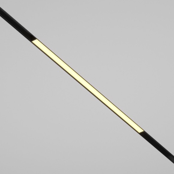 Трековый магнитный светильник Maytoni Basis TR030-2-24W2.7K-B