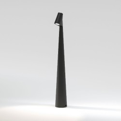 Настольная лампа Elektrostandard Elite 4690389208508 TL70250 a068070