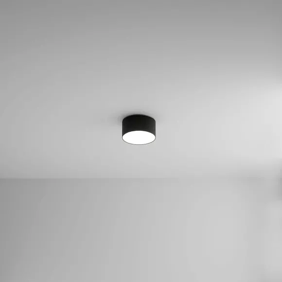 Накладной светильник Arte Lamp Fado A7312PL-1BK Накладной светильник Arte Lamp Fado A7312PL-1BK