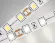 Светодиодная лента Ambrella Light Illumination 24В 5050 14,4Вт/м 3000K 5м IP20 GS4002
