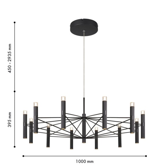 Подвесная светодиодная люстра Favourite Blick 4758-12P