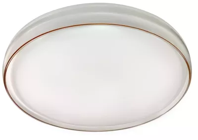 Потолочный светильник Эра SPB-6-80-RC Solar Б0054484