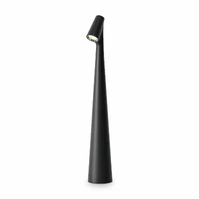 Настольная лампа Freya Clam FR6188TL-L3B