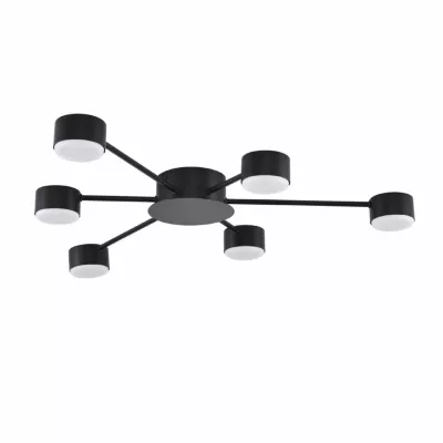 Потолочная люстра Lumion Comfi Torina 8344/6C