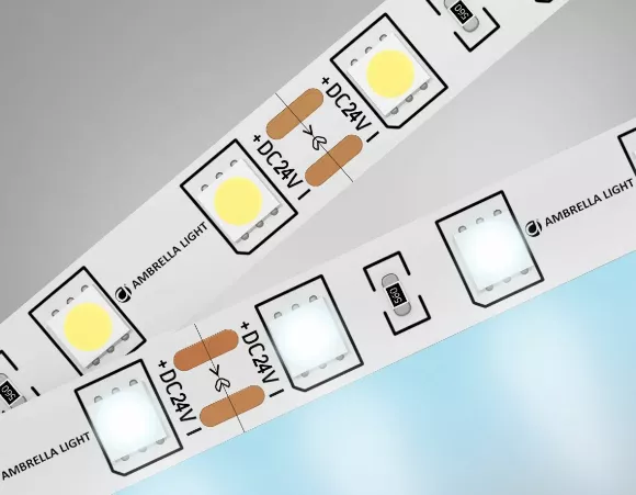 Светодиодная лента Ambrella Light Illumination 24В 5050 14,4Вт/м 6500K 5м IP20 GS4003 Светодиодная лента Ambrella Light Illumination 24В 5050 14,4Вт/м 6500K 5м IP20 GS4003