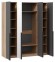 Шкаф платяной Порто СМ-393.07.108 TRI_248875
