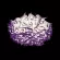 Потолочный светильник Loft IT Clizia 10593/780C Purple