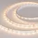 Светодиодная лента Arlight RT-A60-8mm 24V Warm2700 (4.8 W/m, IP20, 2835, 50m) 024585(2)