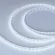 Светодиодная лента Arlight RZ-A80-8mm 24V White6000 (8 W/m, IP20, 2835, 5m) 046012