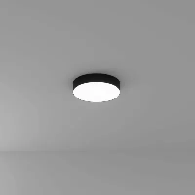 Потолочный светильник Arte Lamp Fado A7335PL-1BK