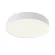 Потолочный светильник Maytoni Technical Ceiling & Wall Zon C032CL-45W4K-RD-W