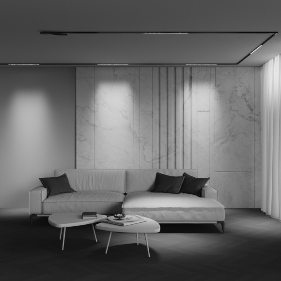 Трековый магнитный светильник Maytoni Technical Points Exility X TR241-2-12W4K-B