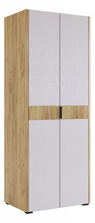 Шкаф платяной Адам MBS_MSA-03_2563