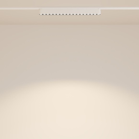 Трековый магнитный светильник Maytoni Points TR082-1-18W3K-M-W