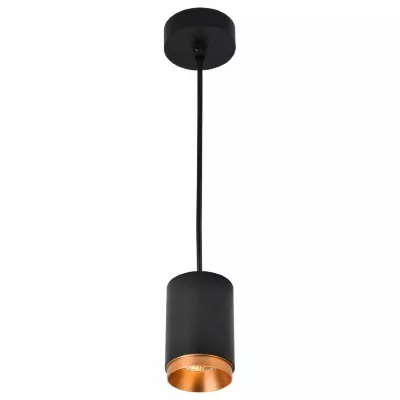 Точечный подвесной светильник Wertmark Stecken WE801.01.027+WE803.RG.400