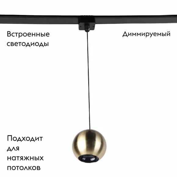 Трековый магнитный светильник Favourite Unica 4229-1P, Черный, Латунь, От теплого до холодного