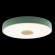 Потолочный светильник Loft IT AXEL 10003/24 Green