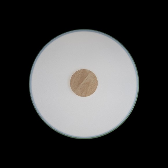 Потолочный светильник Loft IT AXEL 10003/24 Green