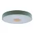 Потолочный светильник Loft IT AXEL 10003/24 Green