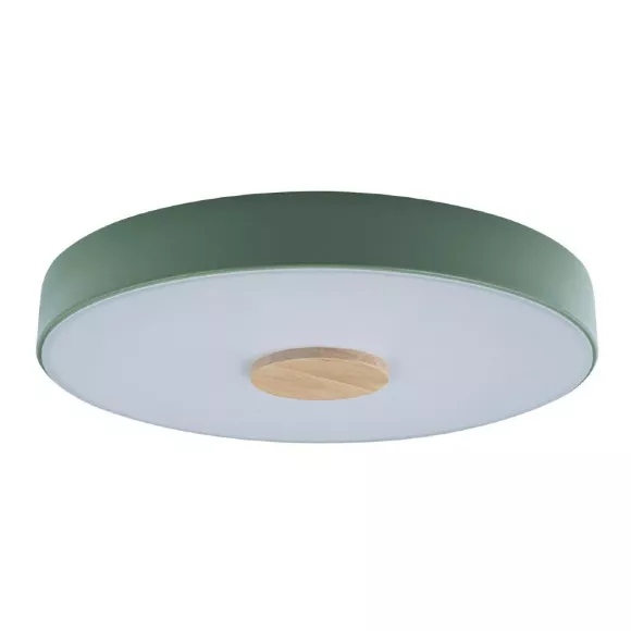 Потолочный светильник Loft IT AXEL 10003/24 Green Потолочный светильник Loft IT AXEL 10003/24 Green