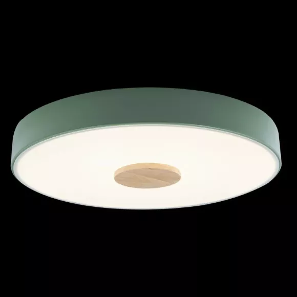 Потолочный светильник Loft IT AXEL 10003/24 Green Потолочный светильник Loft IT AXEL 10003/24 Green
