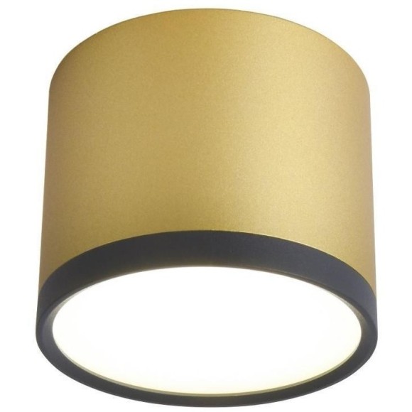 Накладной светильник Favourite Baral 3082-2C