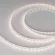 Светодиодная лента Arlight RZ-A80-8mm 24V Day4000 (8 W/m, IP20, 2835, 5m) 046013